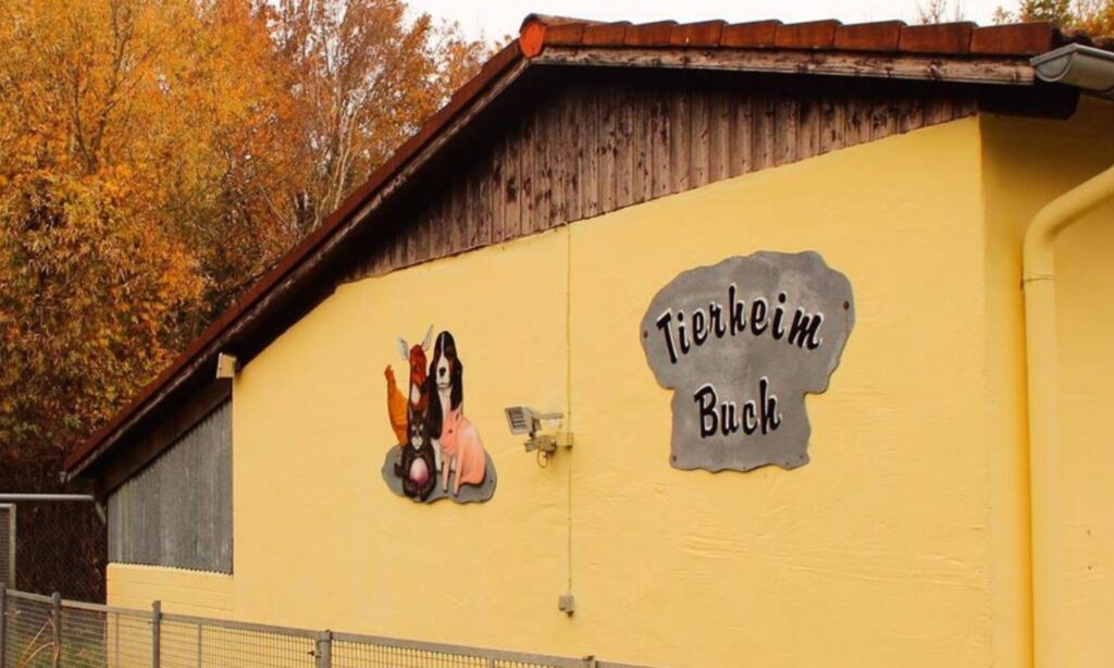 Tierheim-2