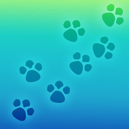 paw-print-941498_640